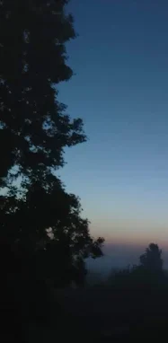 Dämmerungshimmel mit Bäumen im Vordergrund und Nebel im Hintergrund.